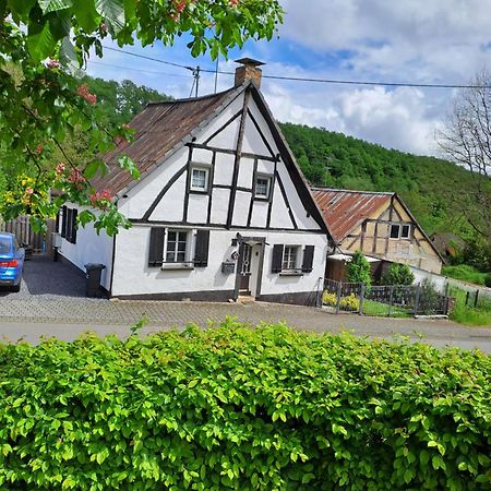 Landhaus Eifel Demerath Exterior foto