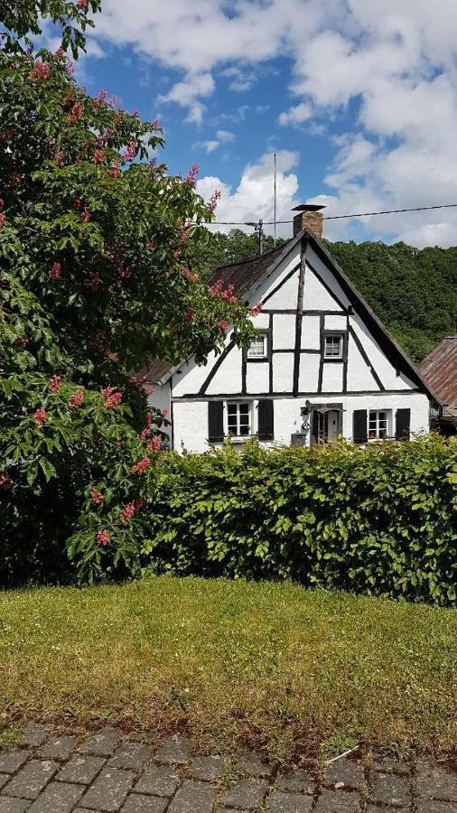 Landhaus Eifel Demerath Exterior foto