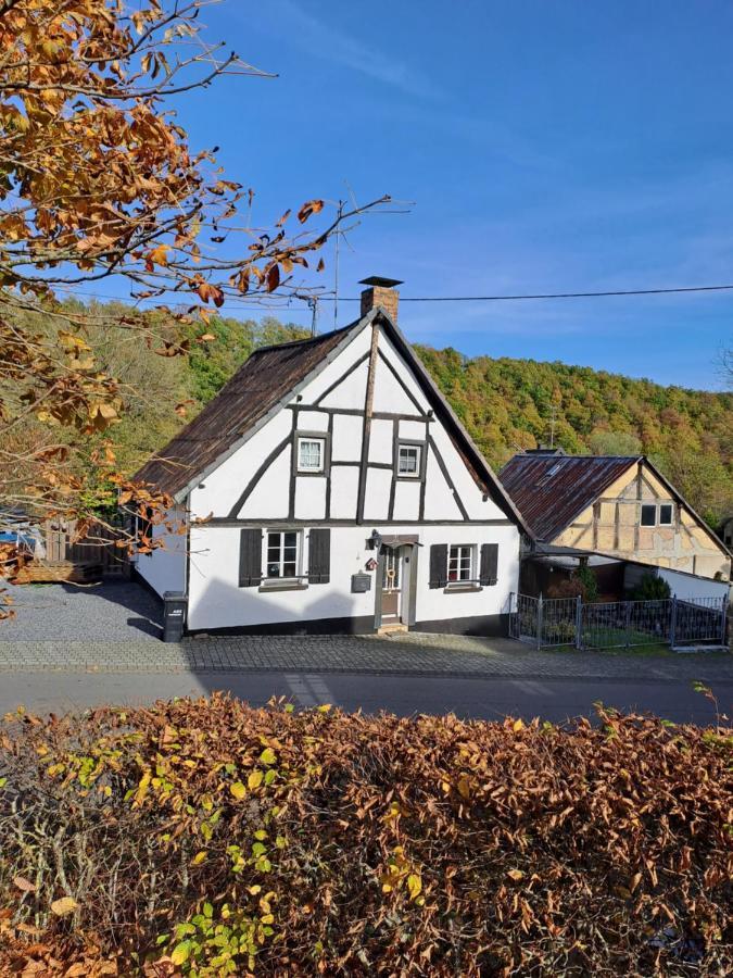 Landhaus Eifel Demerath Exterior foto