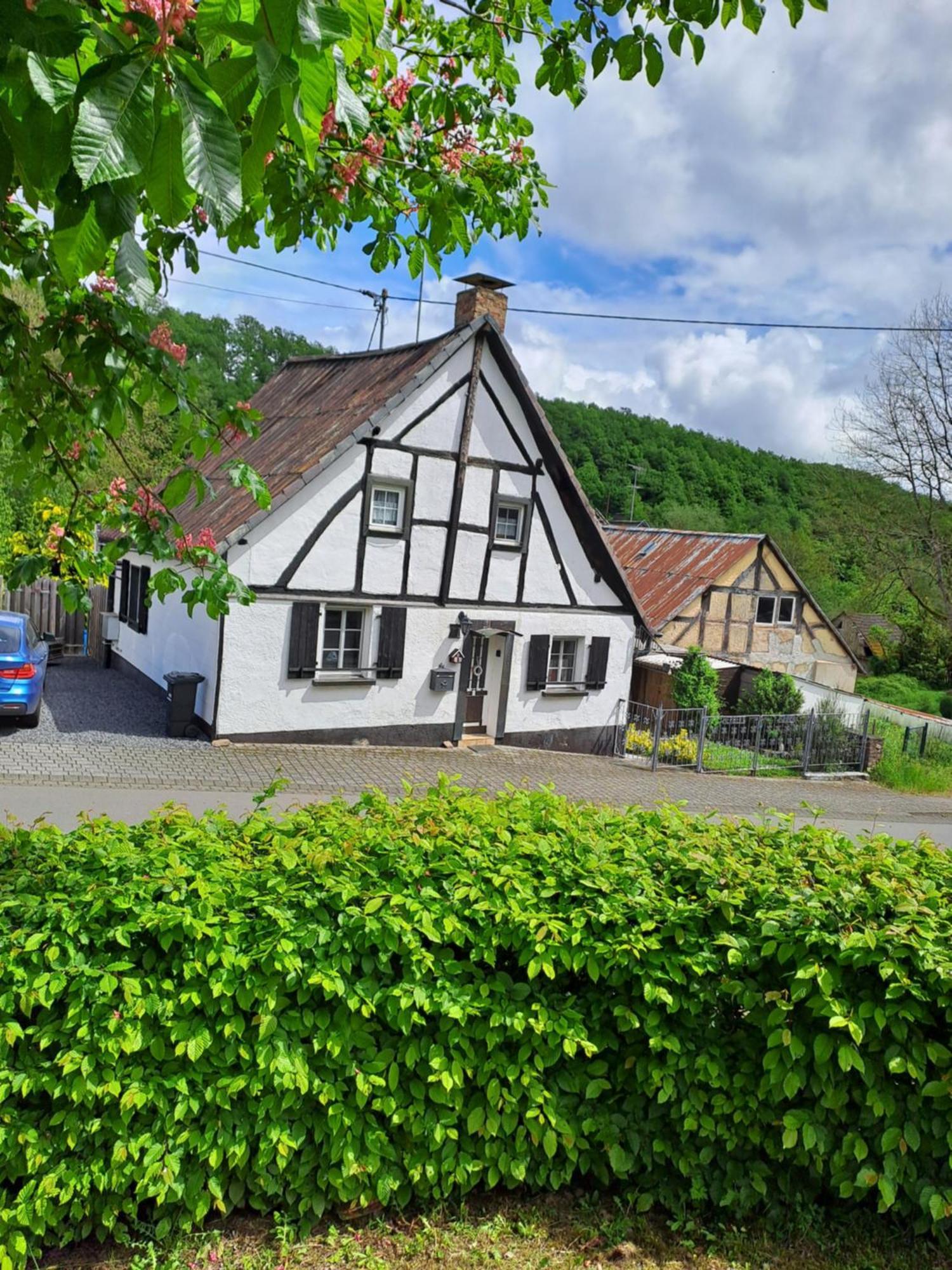 Landhaus Eifel Demerath Exterior foto